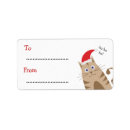 Search for pet name stickers Kitten