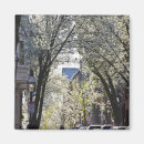 Search for beacon magnets Massachusetts