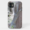 Search for gray squirrel iphone cases Animals