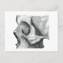 Search for antique halloween postcards Drawing