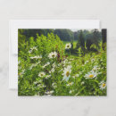 Search for bright lights postcards Flower