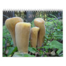 Search for mushroom calendars Outdoors