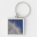 Search for fragility key rings Nature