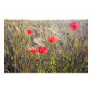 Search for cropland posters Fresh