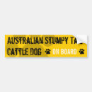 Search for stumpy tail Dog