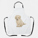 Search for labrador puppy aprons Pet
