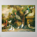 Search for feelings chart Animal