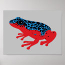 Search for darts posters Poison dart frog