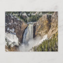 Search for lower fall postcards Yellowstone