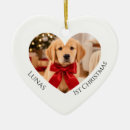Search for retriever christmas tree decorations Puppy