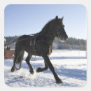 Search for running horses stickers Outdoors