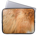 Search for red fox cases Illustration