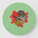 Search for conures Cute