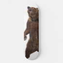 Search for bear skateboards Grizzly
