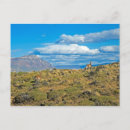 Search for high country postcards Outdoors