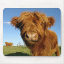 Search for scottish mousepads Calf