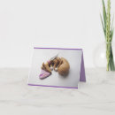 Search for greyhound cards Whippet