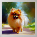 Search for pet pomeranian posters Animal