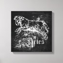 Search for aries canvas prints Zodiac