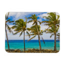 Search for tropical climate magnets Beach