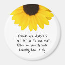 Search for angel magnets Quote