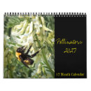 Search for pollination photography Butterfly