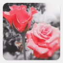 Search for romantic garden wedding stickers Red