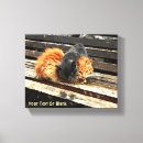Search for felis art Animals
