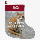 Search for for cat lovers christmas stockings Cats
