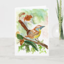 Search for wren bird cards Watercolor