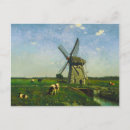 Search for grazing postcards Cows