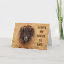 Search for funny sheep birthday cards Ewe