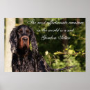 Search for wet posters Pet