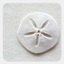 Search for sand dollar stickers Beachy