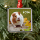 Search for guinea pig christmas tree decorations Cavy