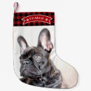 Search for plaid tartan christmas stockings For pets
