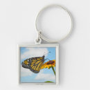 Search for composition key rings Horizontal