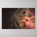 Search for burger posters Illustration
