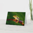 Search for tree frog cards Frogs
