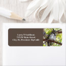 Search for birds on a branch return address labels Nature