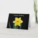 Search for daffodil birthday Happy