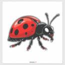 Search for beetles stickers Cartoon