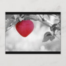 Search for apple shaped Fruit