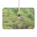Search for duck car air fresheners Nature