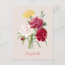 Search for vintage botanical print postcards Elegant