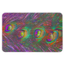 Search for peacock christmas cards Animals