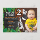 Search for second birthday boy Jungle