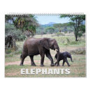 Search for elephant calendars Cute