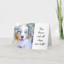 Search for australian shepherd birthday cards Veterinarian