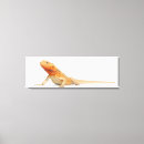 Search for dragon canvas prints Reptiles